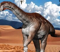 Nueva especie de dinosaurio hallada en la Patagonia aporta valiosa información acerca de cómo vivieron (Fuente: Fundación Azara) (Fuente: Fundación Azara) (Fuente: Fundación Azara)