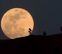 Las mejores vistas de la luna llena se podrán apreciar desde este mes hasta noviembre (Fuente: NA) (Fuente: NA) (Fuente: NA)