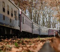 Salieron a la venta los pasajes de larga distancia de septiembre (Imagen: Trenes Argentinos)