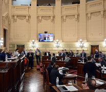 Sólo los senadores del peronismo votaron en contra de la iniciativa