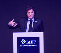 Javier Milei disertando en el 41 Congreso anual de la IAEF (Fuente: NA) (Fuente: NA) (Fuente: NA)