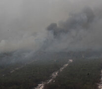 Ya son más de 184 mil las hectáreas afectadas por los incendios forestales en Paraguay  (Fuente: EFE) (Fuente: EFE) (Fuente: EFE)