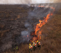 Bomberos combaten un incendio forestal en Matto Grosso del Sur, Brasil. (Fuente: AFP) (Fuente: AFP) (Fuente: AFP)