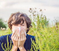 La alergia estacional, también conocida como polinosis, es una respuesta del sistema inmunológico a alérgenos presentes en el aire, como el polen. (Fuente: Redes sociales) (Fuente: Redes sociales) (Fuente: Redes sociales)