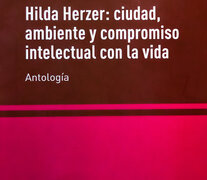 El 16 de octubre a las 18hs se presenta la antología en el Instituto de Investigaciones Gino Germani. (Fuente: Imagen web) (Fuente: Imagen web) (Fuente: Imagen web)