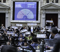 Así fue la votación en la Cámara baja (Fuente: NA) (Fuente: NA) (Fuente: NA)