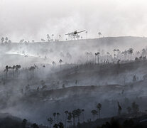 false (Fuente: AFP) (Fuente: AFP) (Fuente: AFP)