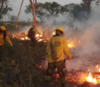 Los bomberos combaten el incendio forestal en la zona de Chiquitania.