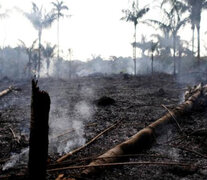 Entre el 1º de enero y el 18 de agosto se registraron 71497 focos de incendio en el país, más de la mitad en Amazonia.