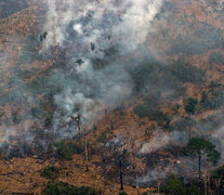 false (Fuente: AFP) (Fuente: AFP) (Fuente: AFP)