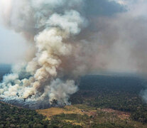 La tala y quema de terrenos amazónicos es una práctica común que permite preparar la tierra para las siembras.  (Fuente: EFE) (Fuente: EFE) (Fuente: EFE)