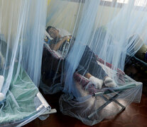 Internados por dengue en Honduras. (Fuente: EFE) (Fuente: EFE) (Fuente: EFE)