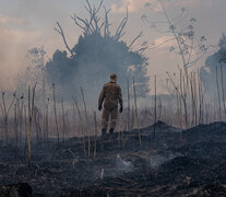 false (Fuente: AFP) (Fuente: AFP) (Fuente: AFP)