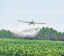 La federación que reúne a los pilotos que fumigan recomedó no aplicar glifosato cerca de escuelas y centros urbanos.