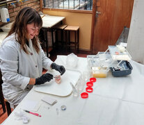 Gabriela Delpiani analiza un filet en el laboratorio.