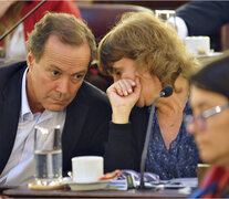 Los diputados Rubén Giustiniani y Silvia Augsburger.