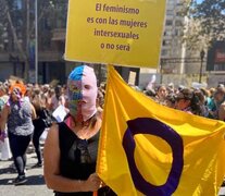 Intersexuales Chile participó de las protestas contra el presidente Sebastián Piñera llevando su propia bandera y reivindicaciones