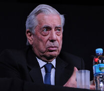 El Nobel de Literatura Mario Vargas Llosa lidera una fundación que promueve el ideario ultraliberal.  (Fuente: Guadalupe Lombardo) (Fuente: Guadalupe Lombardo) (Fuente: Guadalupe Lombardo)