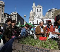 Los pequeños productores volverán a manifestarse en Plaza de Mayo. (Fuente: Bernardino Avila) (Fuente: Bernardino Avila) (Fuente: Bernardino Avila)