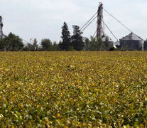 El informe del Indec muestra un alza del agro del 49,5 por ciento en mayo.