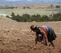 Entre los documentales se destaca &amp;quot;Sembradoras de vida&amp;quot;, de los peruanos Álvaro y Diego Sarmiento.