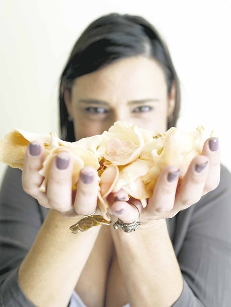 Sus majestades, los hongos