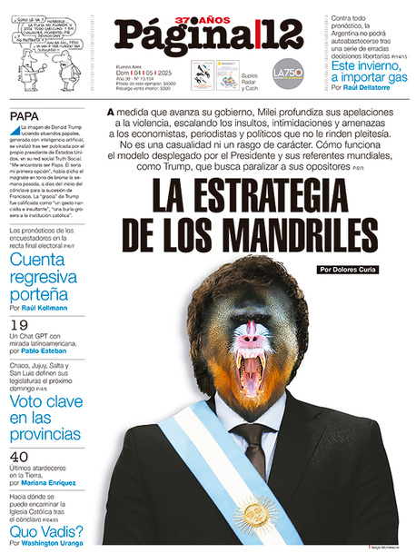 Tapa del suplemento