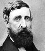 “Nada se opone tanto a la poesía como los negocios”, decía Thoreau.