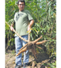 Guía y agricultor, Eduardo Mendoza enseña sus plantas de mandioca. (Fuente: Pablo Donadio)