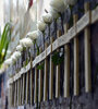 Rosas blancas en las cruces que recordaron a cada una de las personas fallecidas. (Fuente: Andres Macera)