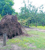 Arboles arrancados de cuajo y postes caídos por la tormenta.