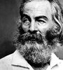 El traductor plantea que el argumento de la novela de Whitman tiene “un tinte dickensiano”.