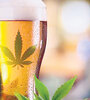 Desde el año próximo estará a la venta, en Canadá, la cerveza sin alcohol, con cannabis.