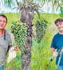 Los ingenieros agrónomos Diego Wassner y Antonio Barrio, de la cátedra de Cultivos industriales UBA.