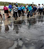 En la playa de Suape, de la ciudad de San Agostinho, Pernambuco, voluntarios participan en la recolección del petróleo. (Fuente: EFE)