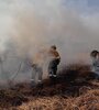 Los incendios produjeron grandes columnas de humo y perjuicios a la atmósfera, la fauna ictícola y habitantes de Rosario.