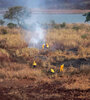 Los incendios tienen a profundizar el desequilibrio ecosistémico. (Fuente: NA)