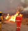 El problema de los incendios forestales es cada vez más grande. (Fuente: NA)