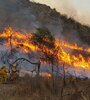 La modificación a la Ley 26.815 de manejo del fuego ahora pasará al Senado. (Fuente: NA)