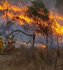 Córdoba vuelve a tener incendios forestales. (Fuente: NA)