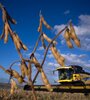 La sequía en Brasil y Argentina empuja el precio de la soja a nivel internacional. (Fuente: Alejandro Elías)