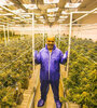 Mike Tyson en su plantación de cannabis. (Fuente: Instagram / @tysonranchofficial)