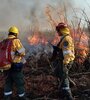 "Desde principios de esta semana se observan columnas de humo provenientes de las islas frente a Rosario", advirtió la organización ecologista. (Fuente: NA)