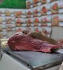 Se ofrecen ocho cortes de carne vacuna con precios rebajados respecto de los valores registrados en diciembre del año pasado en 1600 bocas de expendio. (Fuente: Sandra Cartasso)