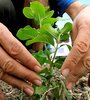 "No queremos más un país con hambre, ni productores sin tierra".