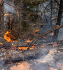Oregón sufre el mayor incendio de su historia (Fuente: AFP)