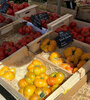 El tomate es una de las hortalizas con mayor superficie de cultivo. 