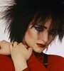 Siouxsie and the Banshees