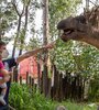 Tecnópolis ofrece sus atracciones icónicas, espectáculos y talleres.