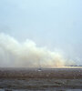 Incendios intencionales frente a la costa rosarina. (Fuente: Andres Macera)